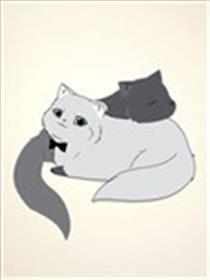 白猫与黑猫海报