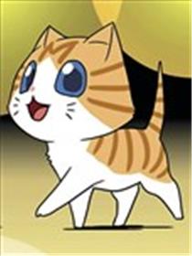 猫和我的日常海报