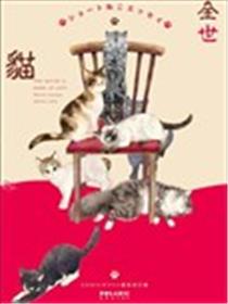 全世猫海报