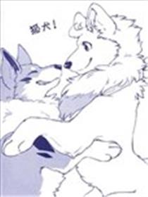 狐犬海报