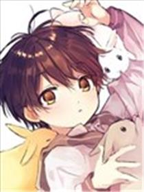 兔兔小屋的小兔海报