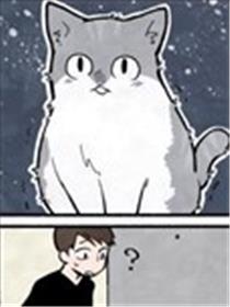 猫的报恩海报