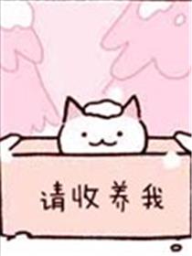 不可思议的猫咪 小九漫画