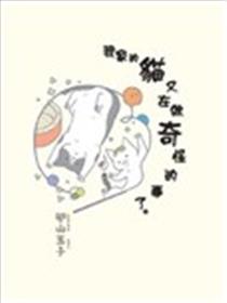 我家的猫又在做奇怪的事了海报