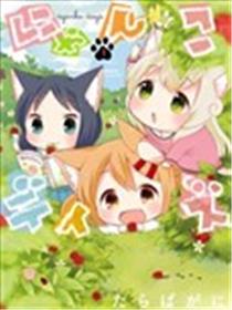 猫咪日常海报