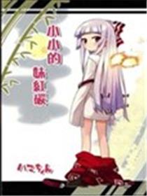 小小的妹红炭海报