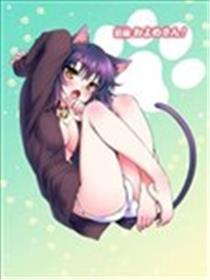 肉球海报
