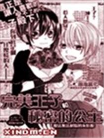 完美王子和秘密的公主海报
