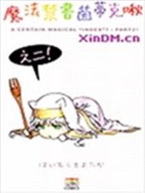 魔法禁书茵蒂克啾海报