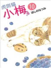 虎斑猫小梅海报