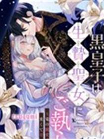 黑皇子对为国献身的圣女一往情深海报