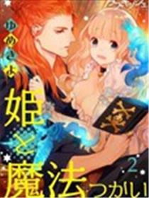 公主与魔法使海报
