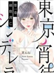 东京宵待辛德瑞拉海报