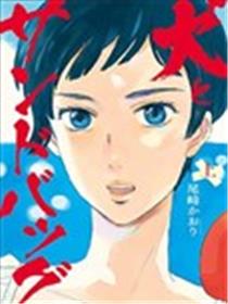 狗与沙袋海报