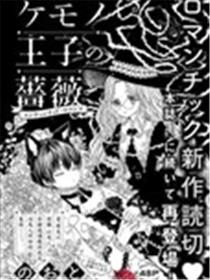 野兽王子的玫瑰海报