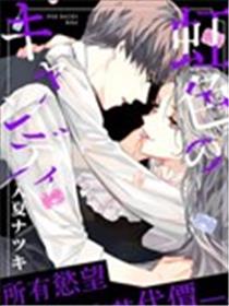 虹色的糖果海报