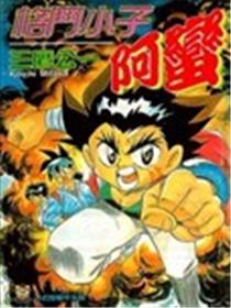 格斗小子阿蛮海报