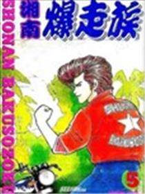 湘南爆走族海报