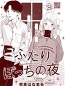 二人独处的夜海报