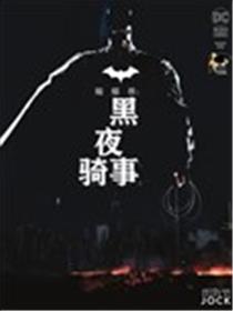 蝙蝠侠：黑夜骑事海报