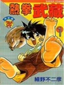 热拳武藏海报