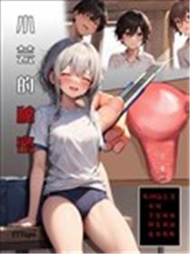 小芸的密码海报