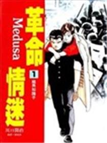 革命情迷海报