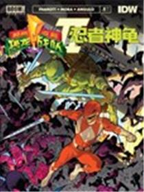 恐龙战队/忍者神龟v2海报