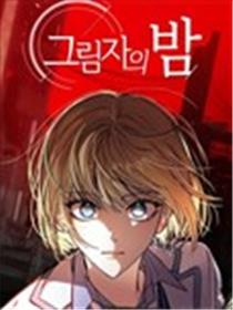 影夜海报