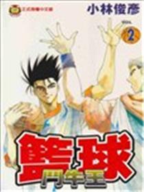 篮球斗牛王海报