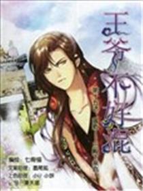 王爷不好混海报