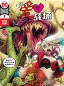DC爱即战场海报