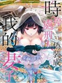 时停杀手伪装成我的妻子海报