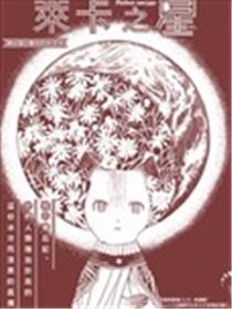 莱卡之星海报
