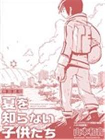 不识夏天的孩子们海报