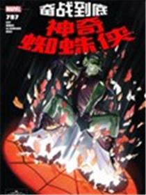 神奇蜘蛛侠：奋战到底海报