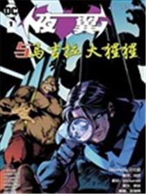 夜翼与马吉拉大猩猩海报
