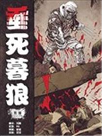 垂死暮狼海报