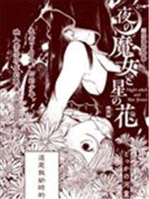 夜之魔女星之花海报