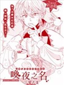 唤夜之名海报
