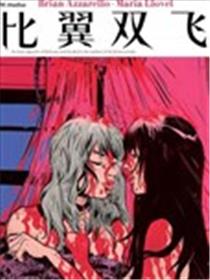 比翼双飞海报