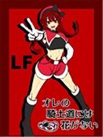 我的骑士道上没有花海报