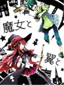 魔女与翼海报