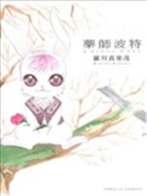 药师波特海报