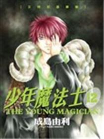 少年魔法士海报