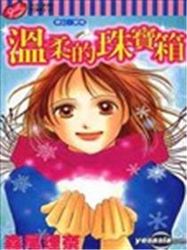 温柔的珠宝箱海报