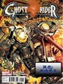 恶灵骑士V6海报