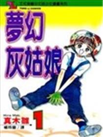 梦幻灰姑娘海报