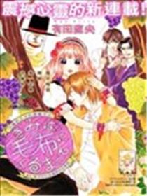 毯中男友海报