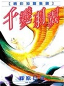 千变羽翼海报